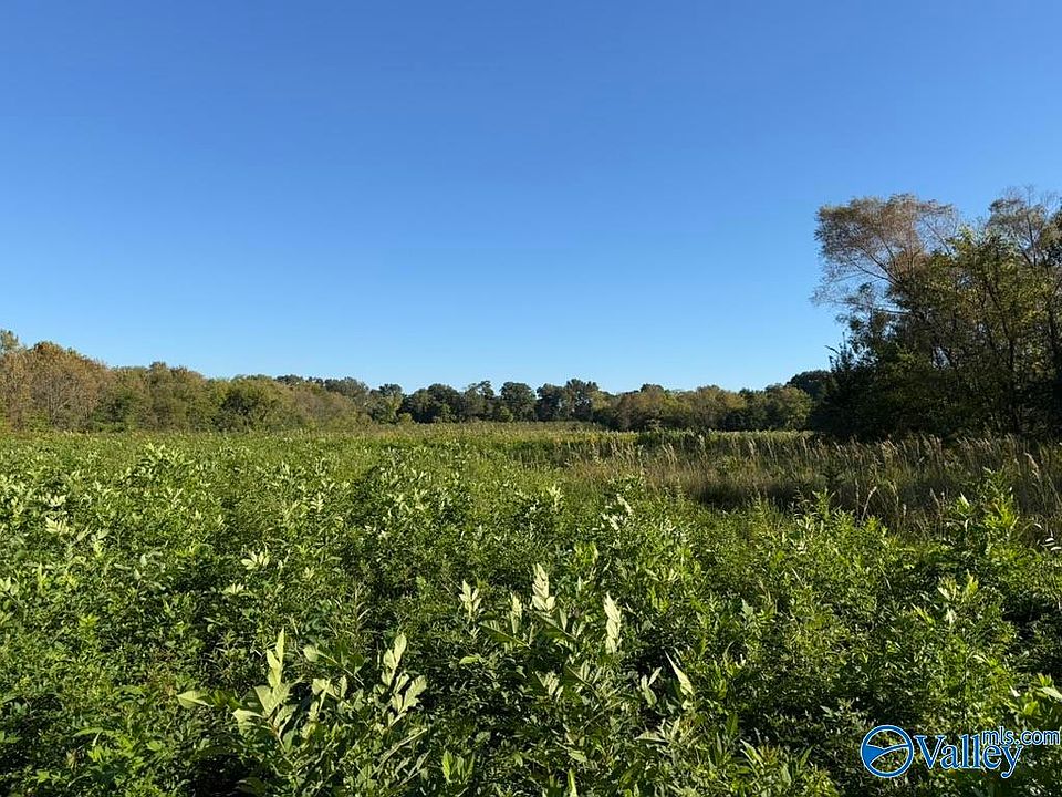 2nd image of State Highway 67