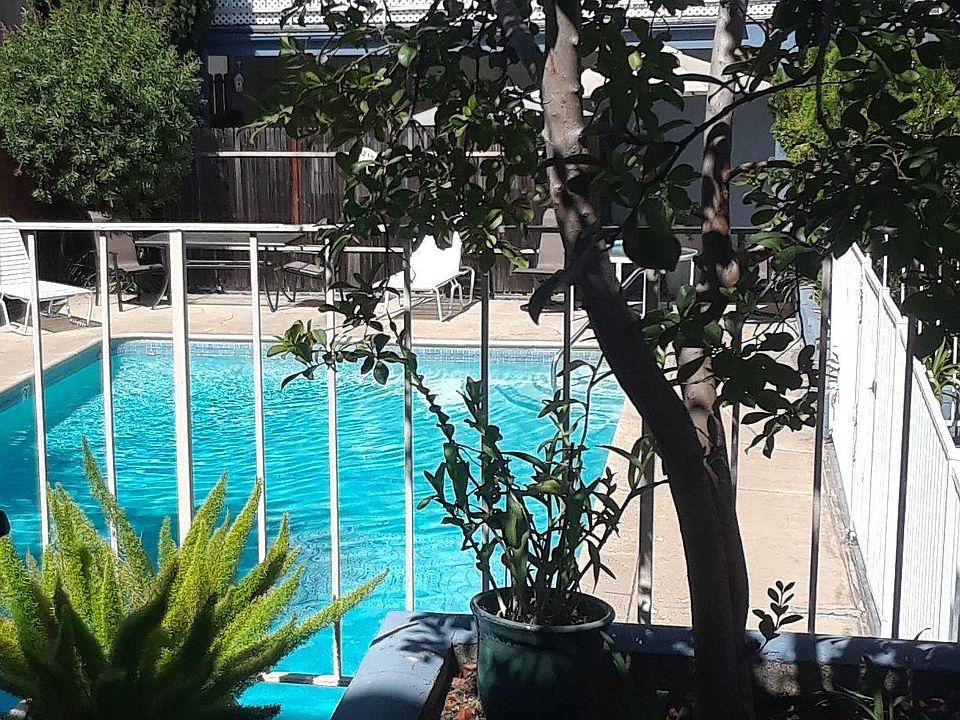 Shared community pool