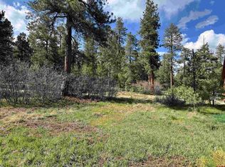 51 Diamond Ct, Pagosa Springs, CO 81147