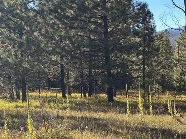 LOT Two Section #F, Pecos, NM 87552