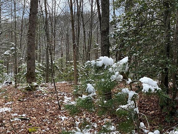 3rd image of Jim Brown Hollow Road Gravel Lick Rd