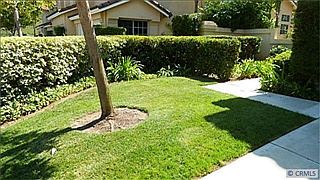 4th image of 9 Bluebird Ln