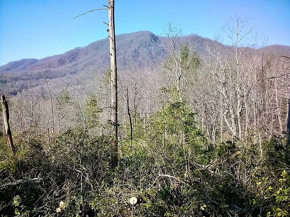 4th image of LOT 22 Deer Ln