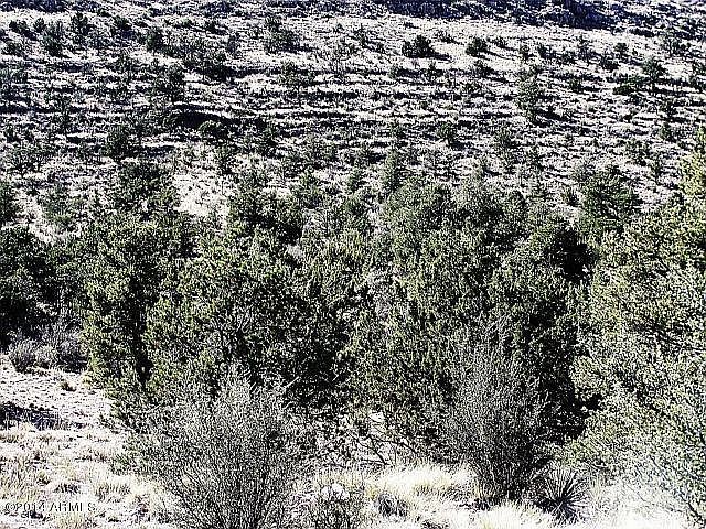2nd image of 54070 N Paintbrush Ln
