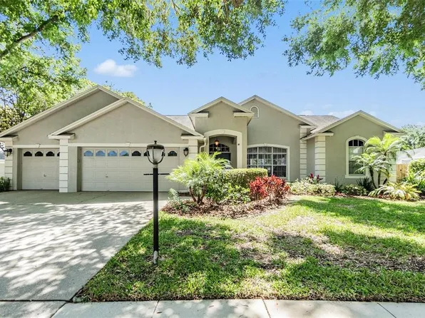 3907 Rolling Terrace Ln, Valrico, FL 33596