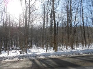 4701 Mount Roderick Rd, Cincinnatus, NY 13040