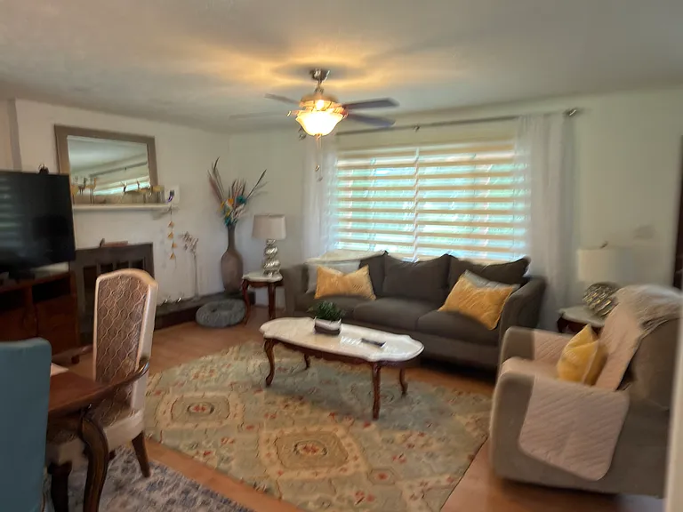 100 Shannondoah Dr — Photo 3