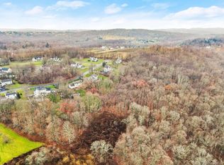 Cottage Place, Granite Springs, NY 10527