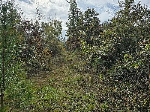 5th image of 12865 County Road 191