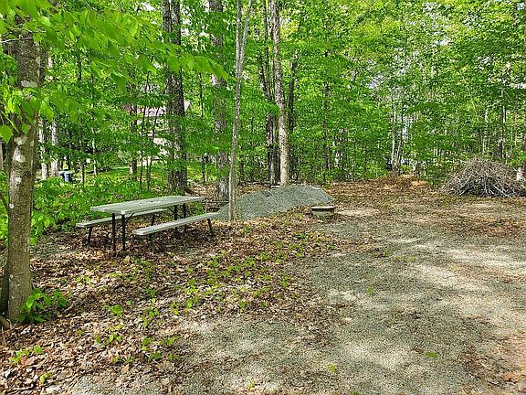 5th image of Loon Cove Rd
