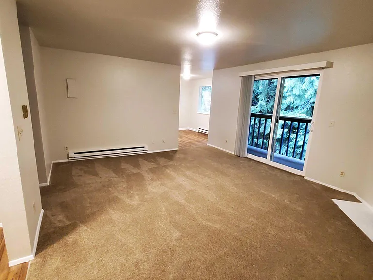 13419 98th Avenue Ct E — Photo 20