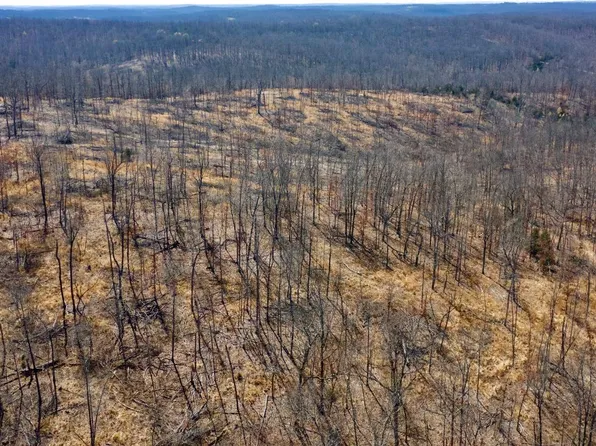 1 Bobcat Ln, Mammoth Spring, AR 72554