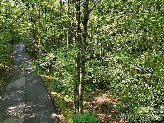 3rd image of 2619 Trays Island Rd