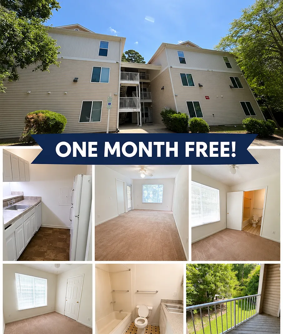 4 Bed 4 Bath At Univeristy Commons! One Month Free!! — Photo 1