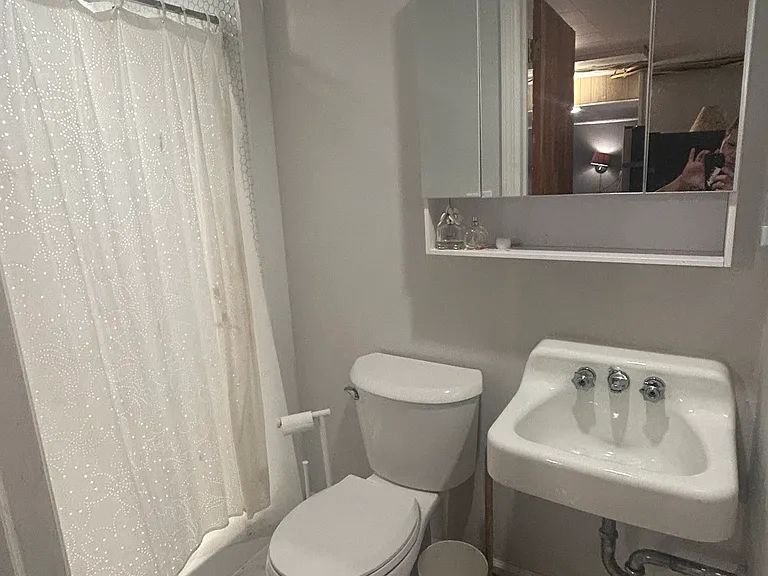 lower level bath with shower