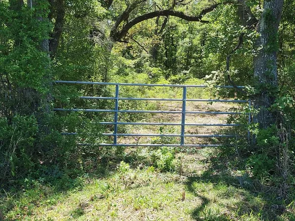  NE 811th St, Old Town, FL 32680