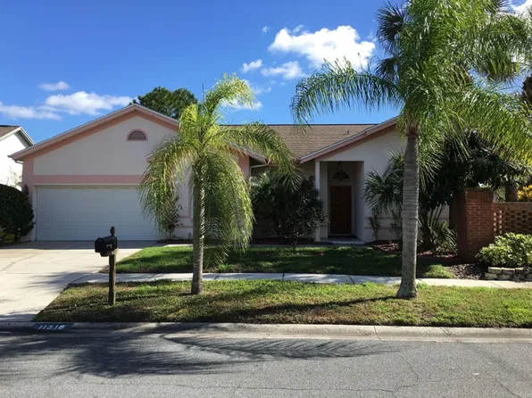 11318 Pocket Brook Dr, Tampa, FL 33635