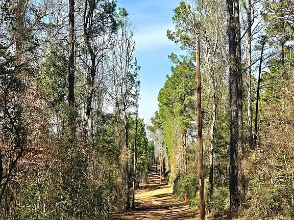 4th image of 3901 County Road 1585