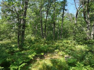 0 E Boltwood Rd, Chase, MI 49623