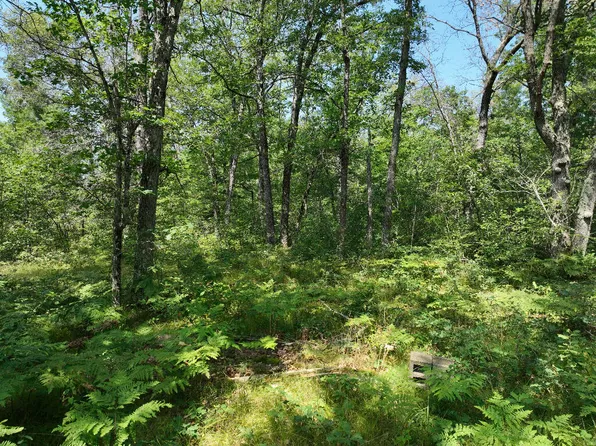 0 E Boltwood Rd, Chase, MI 49623