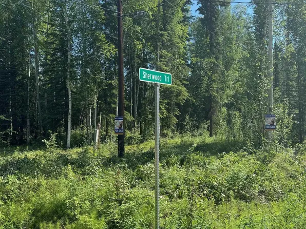 Nhn Deepwoods Dr, North Pole, AK 99705