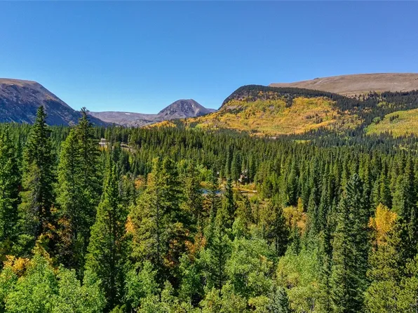 121 Golden Hills Rd, Alma, CO 80420