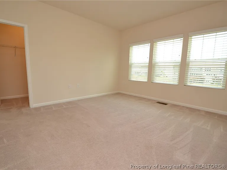 1127 Brightskies St — Photo 23