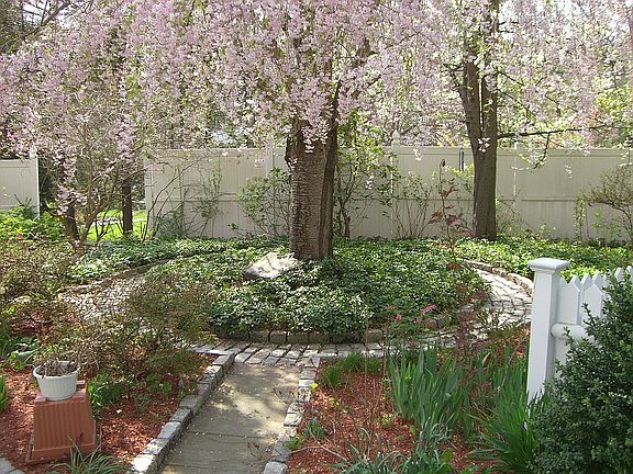 Garden walk in front