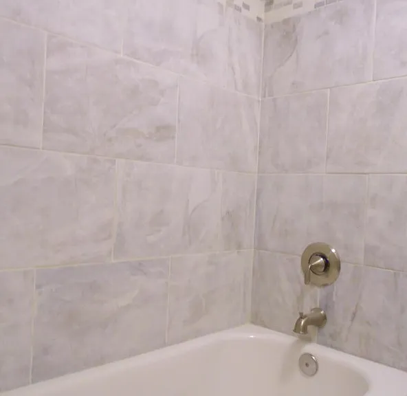 Shower Additional View