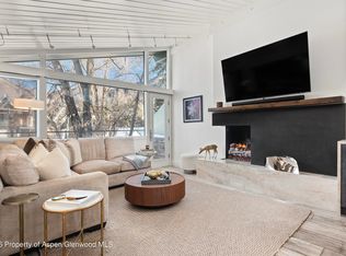 1001 E Cooper Ave Suite 2, Aspen, CO 81611