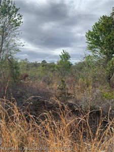 3250 W Josephson Rd, Avon Park, FL, 33825