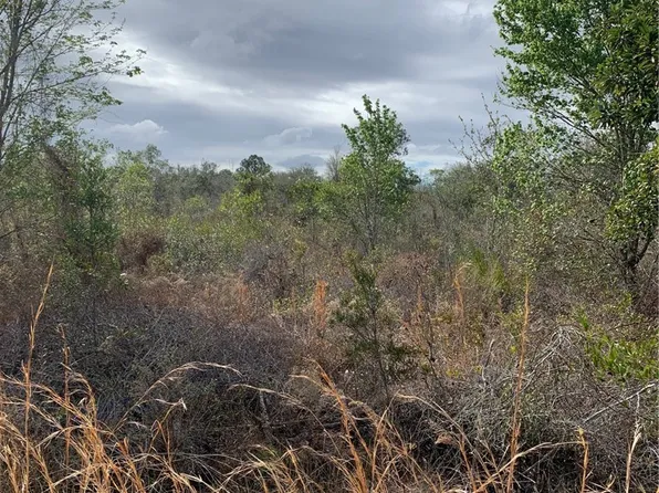 3250 W Josephson Rd, Avon Park, FL 33825