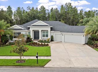 20454 Lace Cascade Rd, Land O Lakes, FL 34637