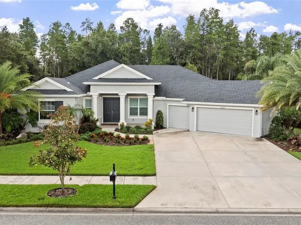 20454 Lace Cascade Rd, Land O Lakes, FL 34637