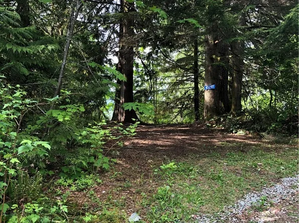 45297 Kamooks Trl, Concrete, WA 98237