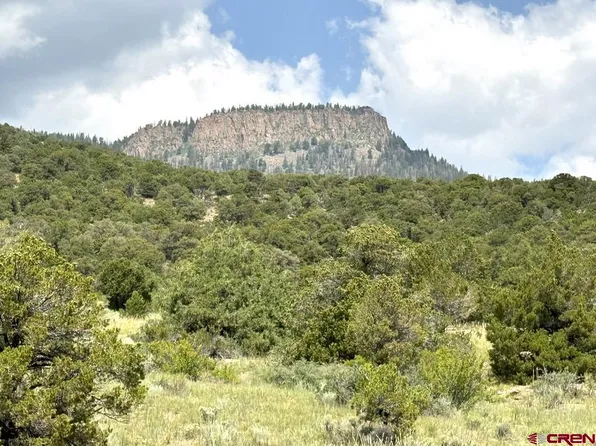 1709 Valley View Road, South Fork, CO 81154