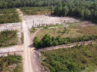 30 Ten Mile Rd, Perkinston, MS 39573