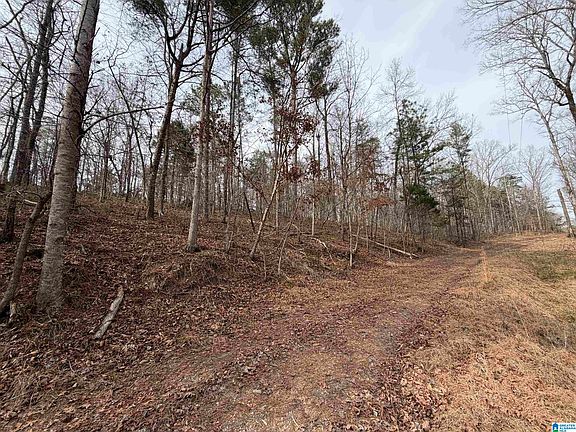 4th image of 0 James Lake Rd #1