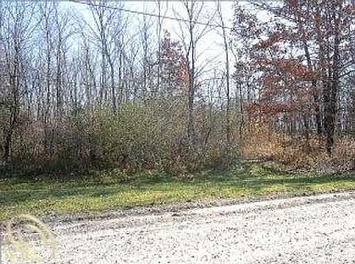 2nd image of 28718 Hovey Ln