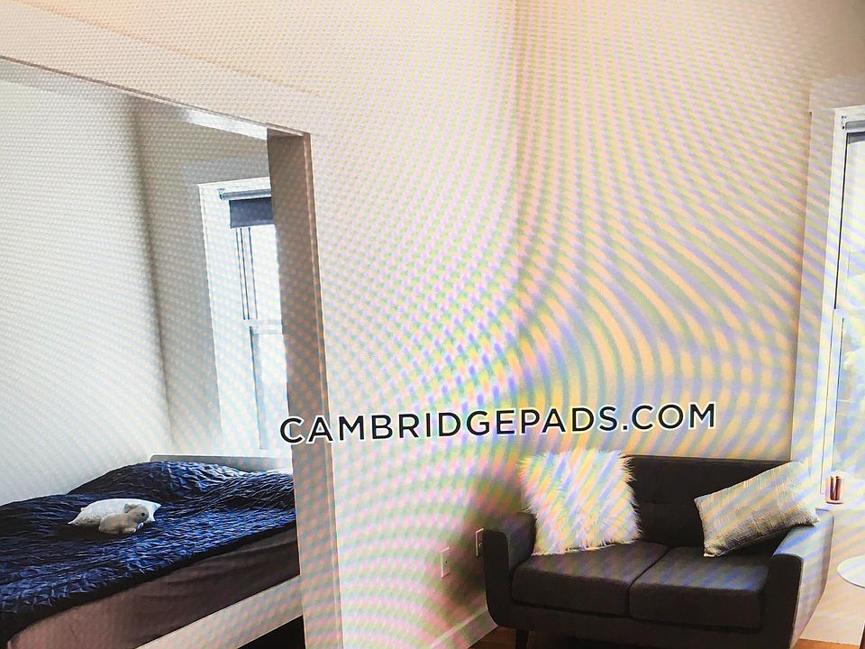 2nd image of 367 Harvard St