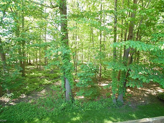 5th image of 1327 Fox Run Dr