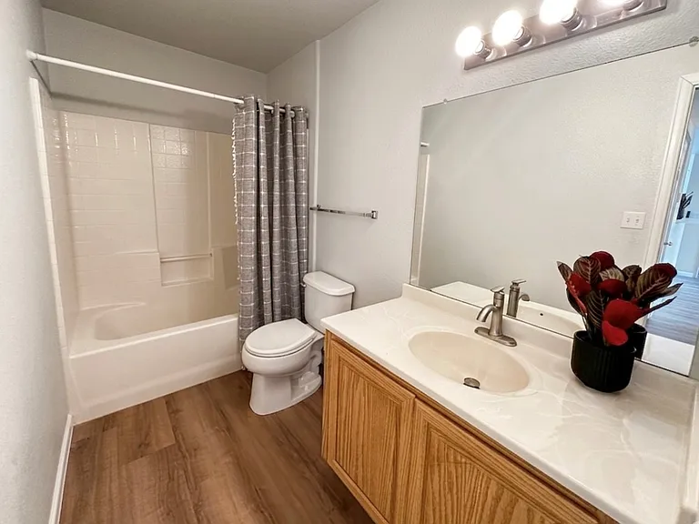 3712 Cactus Creek Ct — Photo 13