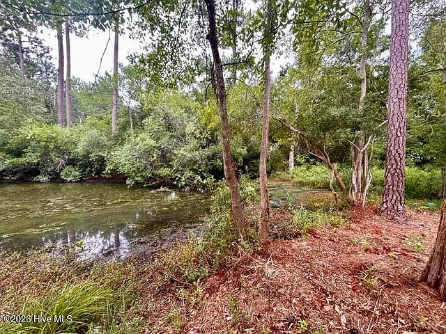 106 Lakeside Green Dr — Photo 41