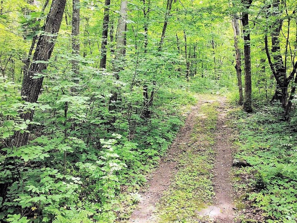 1st image of S5784 County Road D