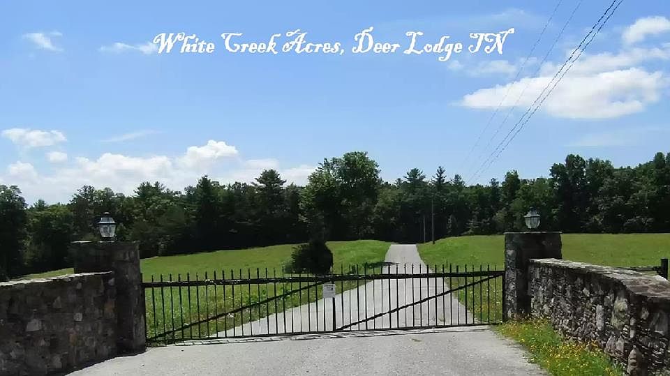 359 White Creek Ct, Deer Lodge, TN 37726 Zillow