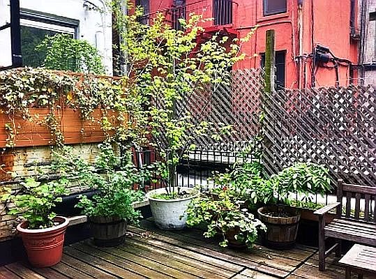 1st image of 56 Ludlow St APT 2
