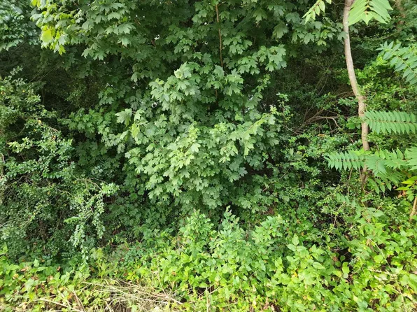 0 Oriole Ct Lot 27, Bedford, VA 24523