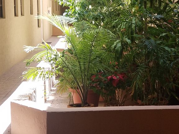 5th image of 8101 Byron Ave APT 208