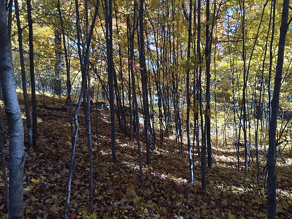 3rd image of 9875 Evergreen Drive #Lot 3