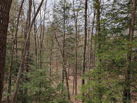 5th image of South Scofield Mountain Road